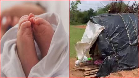 Child kept in hut outside town