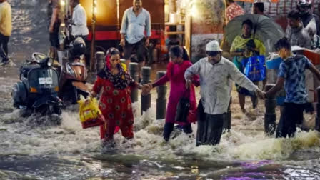 https://www.etvbharat.com/english/videos/other-videos/snake-enters-hyderabad-resident-house-he-takes-it-to-ghmc-office-to-lodge-protest/na20230726185031557557579