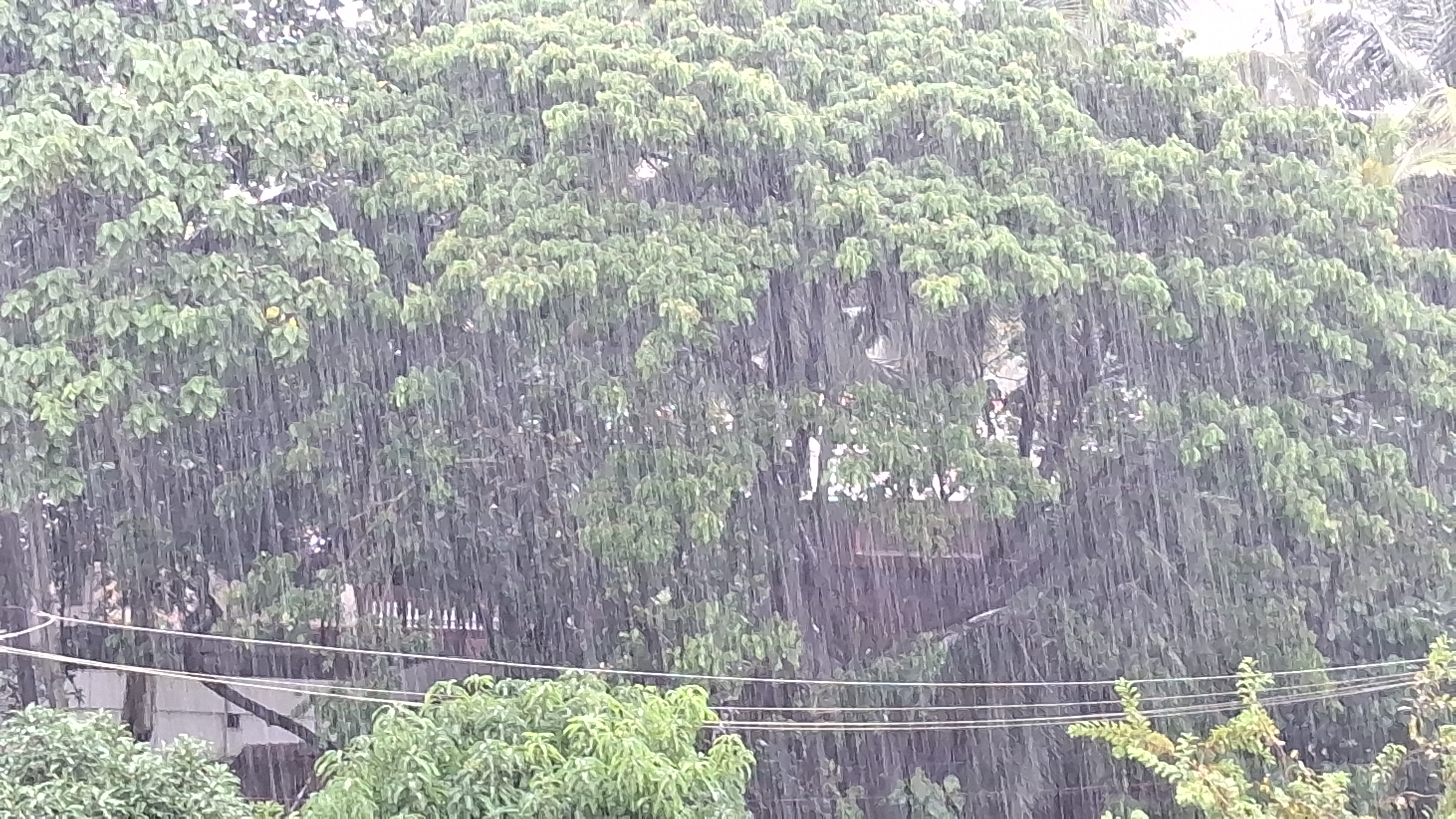 Heavy rain continues in Dakshina kannada