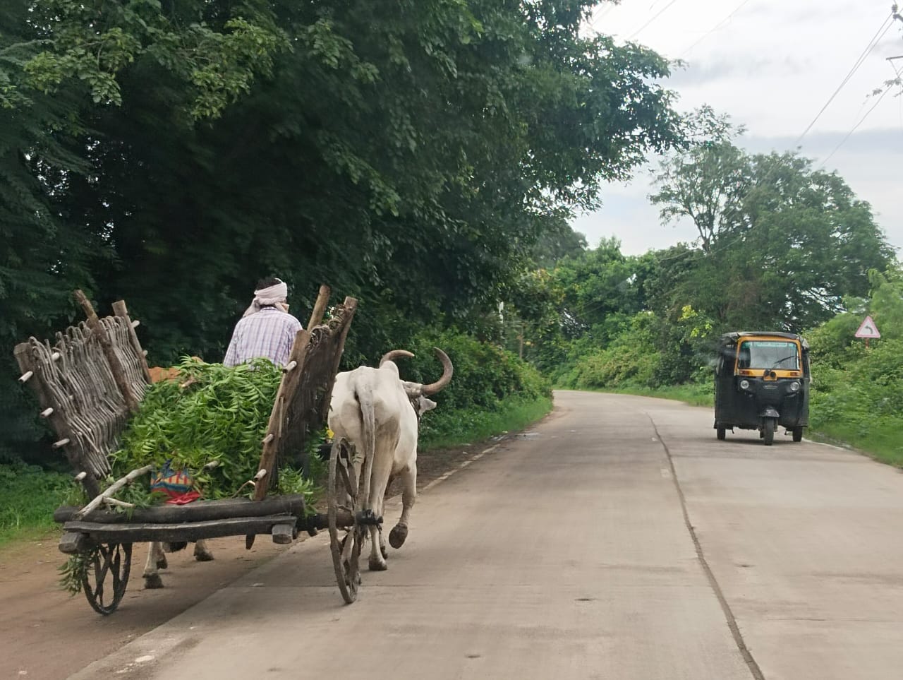 Neither ambulance nor hearse found