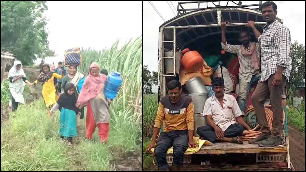 Flood threat in Krishna river: Riverside villagers move to safer place