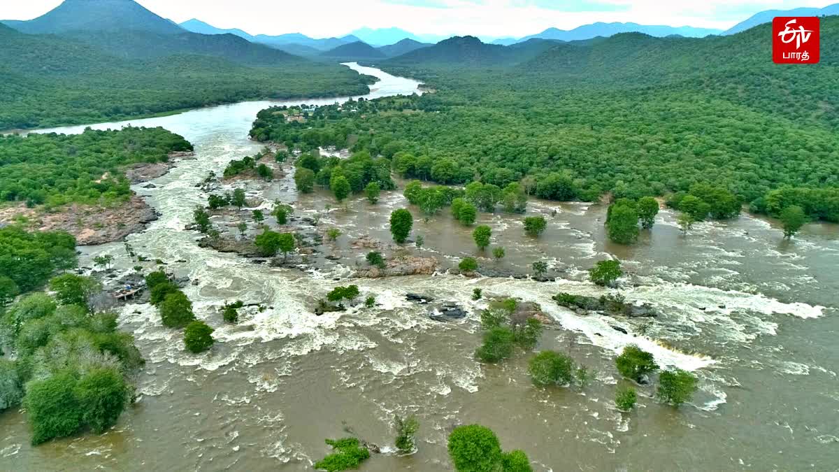 HOGENAKKAL CAUVERY RIVER