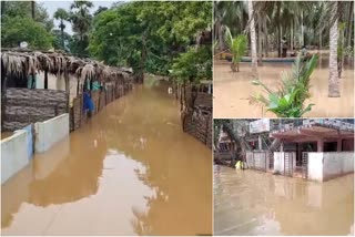 flood effect at konaseema