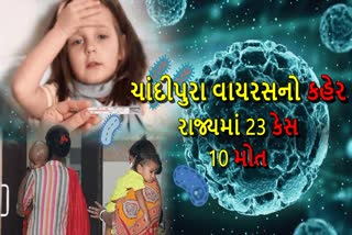 ગુજરાતમાં ચાંદીપુરા વાયરસનો કહેર