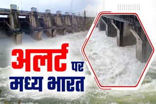 Madhya Pradesh dams water level