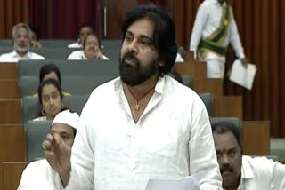 AP Deputy CM Pawan Kalyan