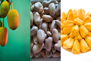 Jackfruit seeds are no less than a boon for health, eating them gives these 5 big benefits