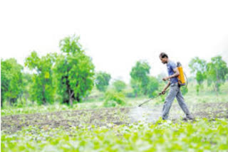 with-69-types-of-pesticides-cancer-threat-to-farmers-equals-smoking