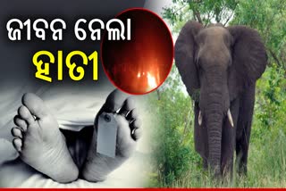 2 Person Death in Elephant Attack