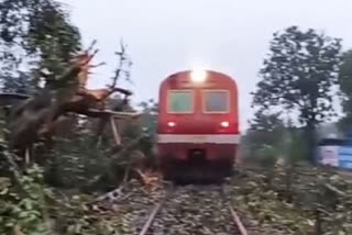 Train hits banyan tree that falls on track due to heavy rains