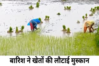 Dhamtari Heavy rain