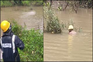 Lineman fixed electricity by swimming in pit with wire tied around his waist in Chikkamagaluru: Villagers' appreciation