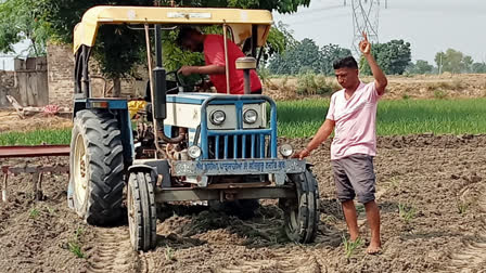 FARMER PLOWED THE PADDY CROP