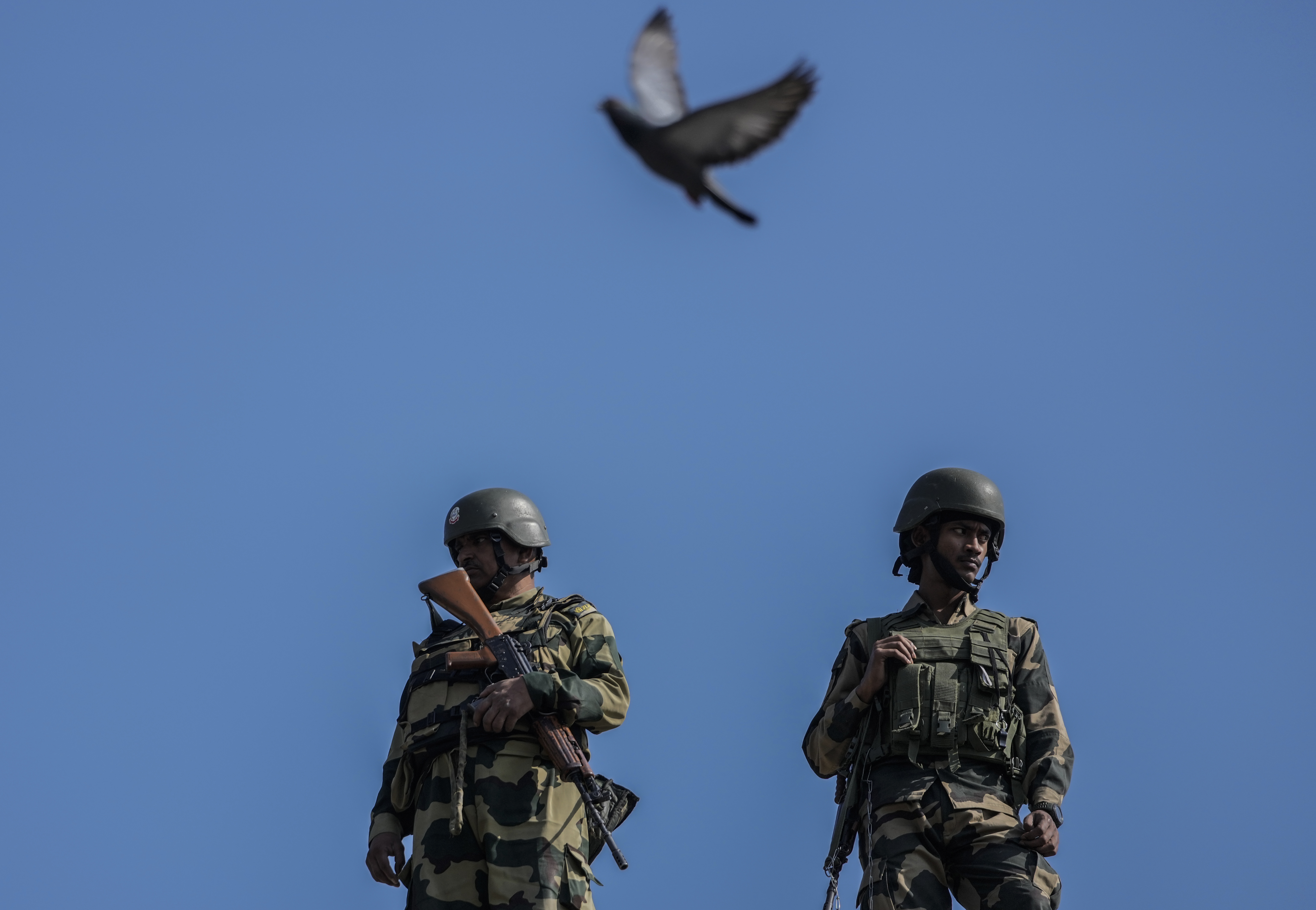 Paramilitary soldiers guard as a pigeon flies over them during a Muharram procession in Srinagar on July 15, 2024.