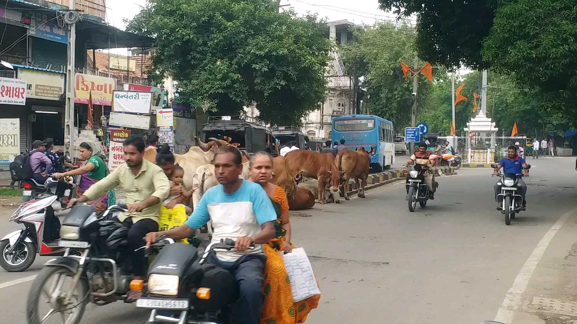 ભાવનગરમાં રખડતા ઢોરોનો ત્રાસ યથાવત