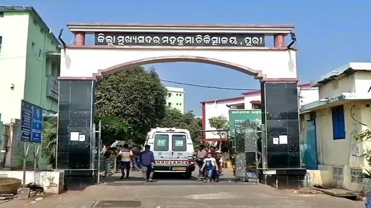 dengue terror in puri