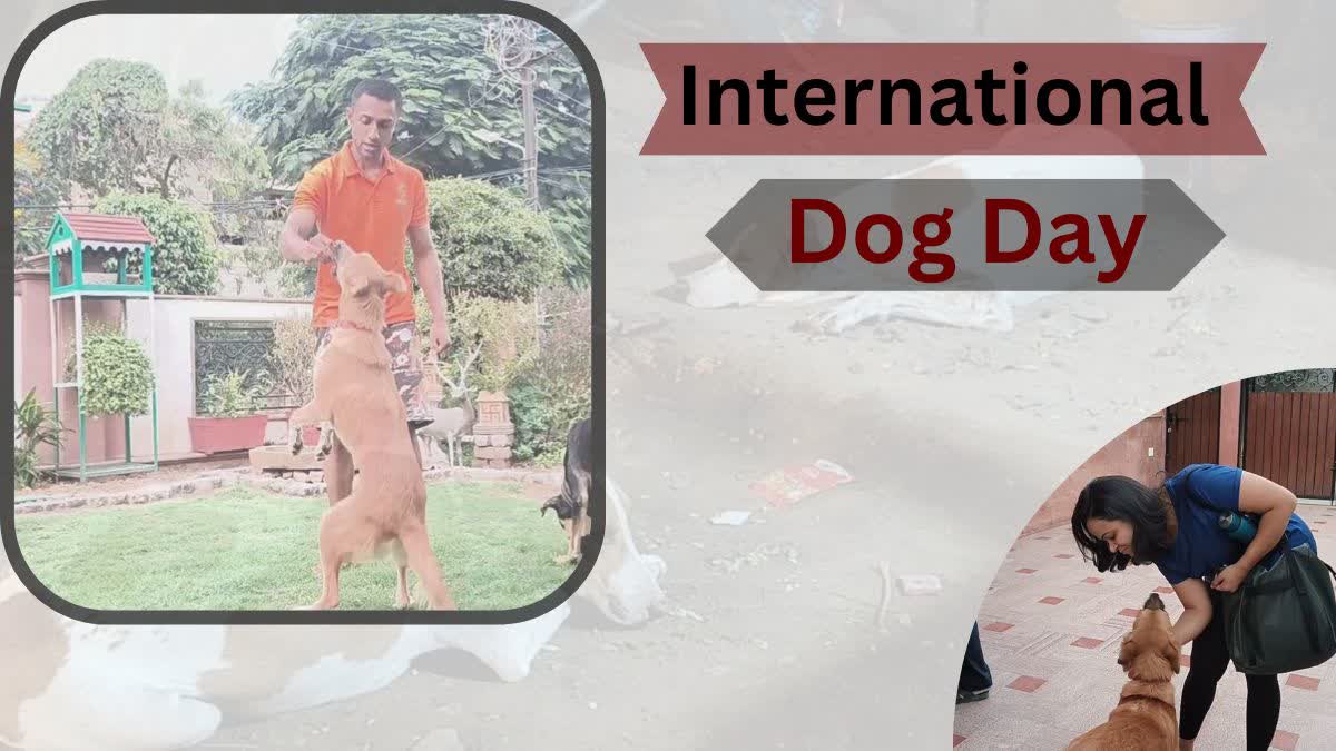 International Dog Day 2023