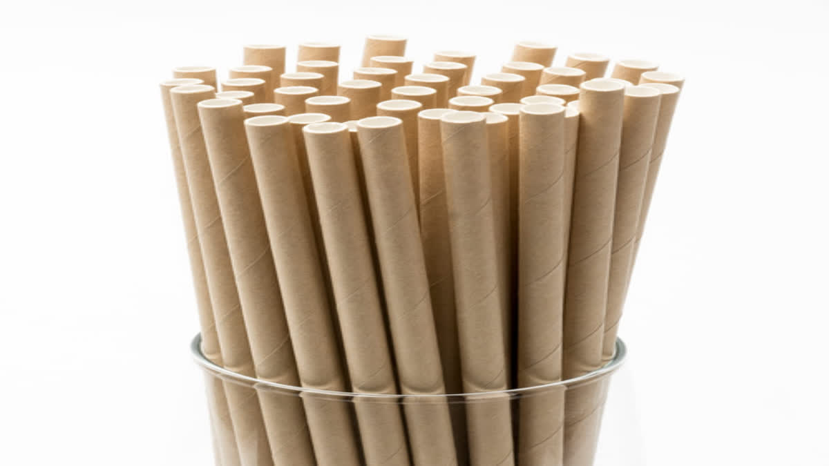 Paper Drinking Straws are Harmful