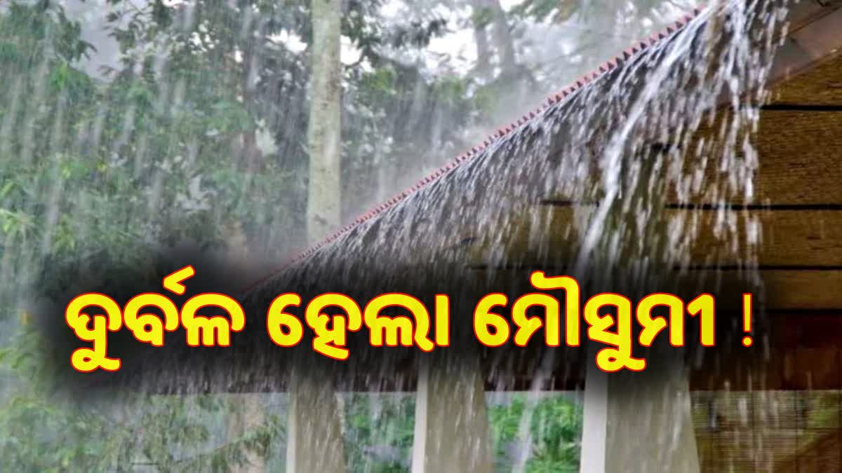 ୫ ଦିନ ପର୍ଯ୍ୟନ୍ତ ରାଜ୍ୟରେ କମ ରହିବ ବର୍ଷାର ପ୍ରଭାବ