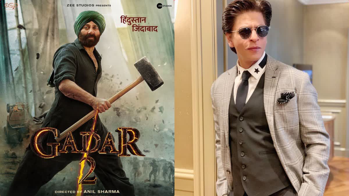 Shah Rukh Khan watched Gadar 2
