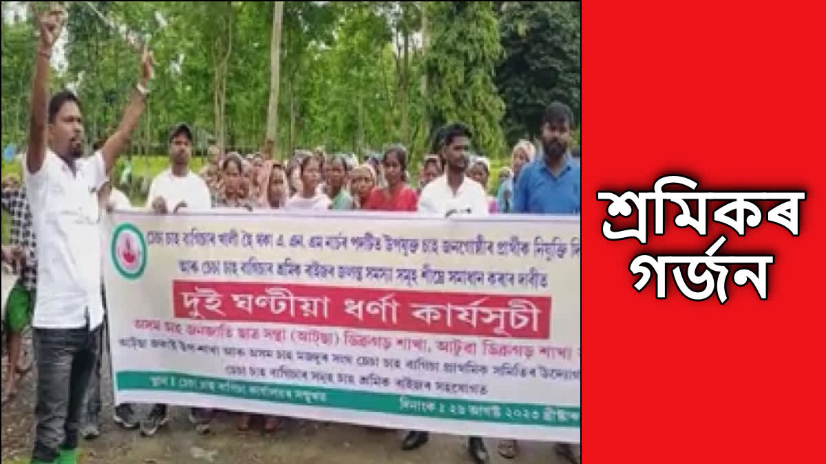 Assam Chah Mazdoor Sangh protest in Dibrugarh