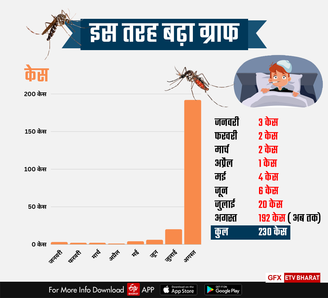 Dengue Cases in Kota