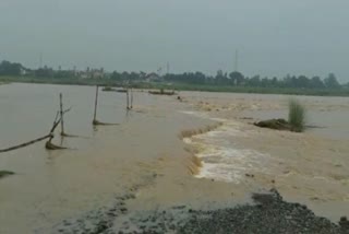 Ajay River Temporary Bridge