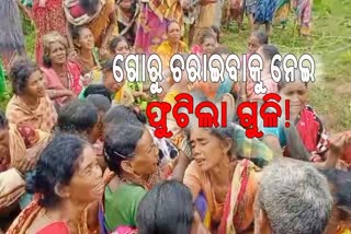 ଗୋରୁ ଚରାଇବାକୁ କେନ୍ଦ୍ର କରି ହତ୍ୟା