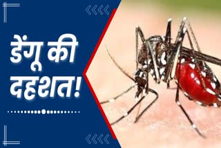dengue patients started getting admitted in hospital