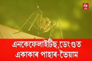 Assam Health Alert