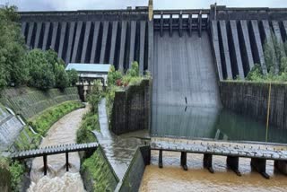 Koyna Dam Water