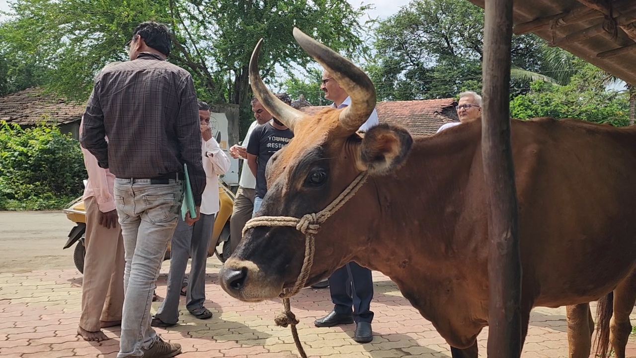 15 પશુના મોત બાદ  સર્વેની કામગીરી