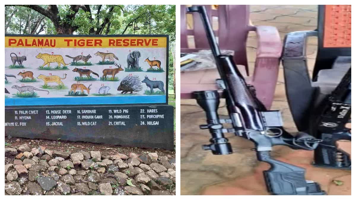 Licensed Weapons In Palamu