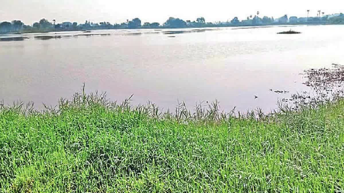 Tummala Pond Missing Complaint in PS