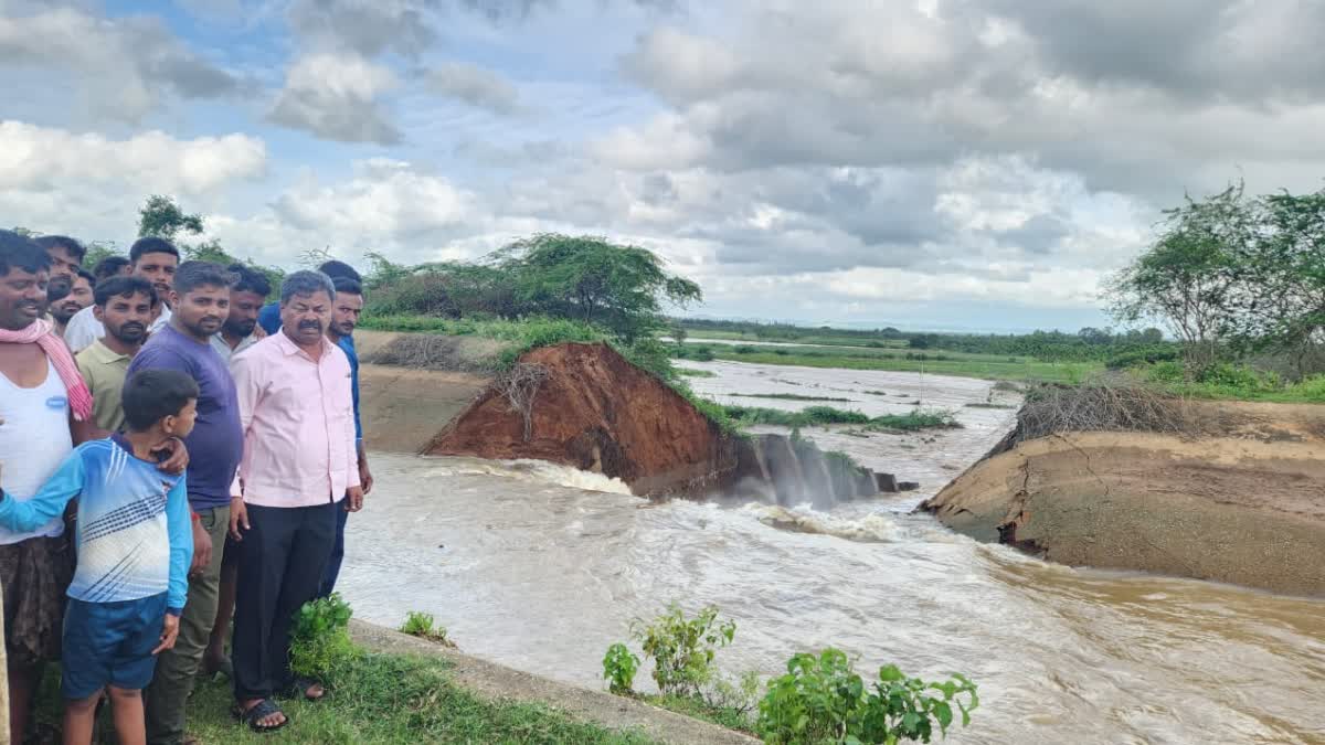 Former Minister MP Renukacharya visited the place where the Tunga upper bank canal burst