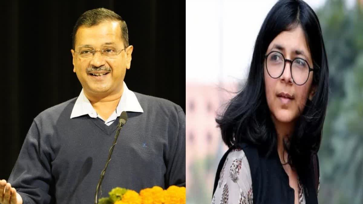 Jammu kashmir election 2024 swati maliwal and harbhajans name not in aaps star campaigners list