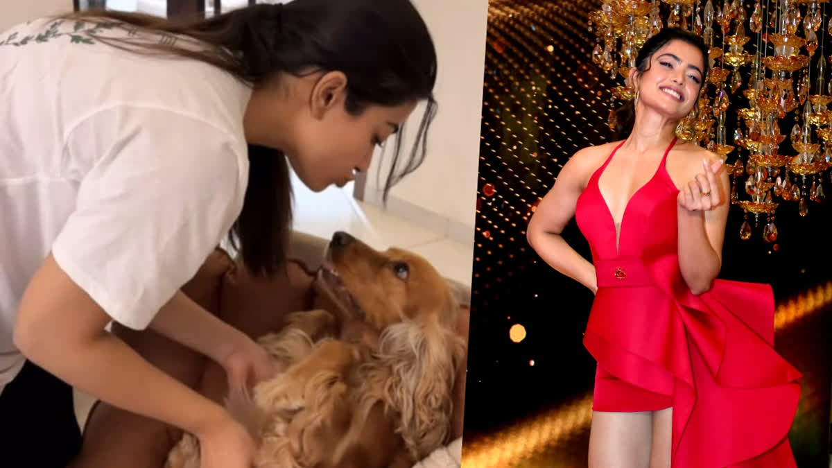 Rashmika Mandanna's Instagram Post With Her Pet Aura Proves Distance Can't Dull Their Bond! - WATCH