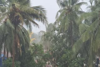 IMD warns of intense rains in Madhya Pradesh, Rajasthan,