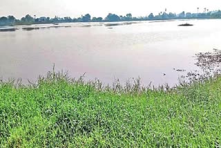 Tummala Pond Missing Complaint in PS