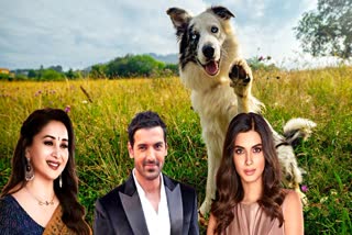 Bollywood stars Celebrate International Dog Day