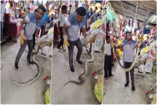 PYTHON IN HARIDWAR