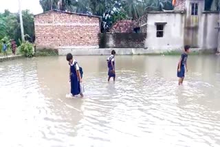 South 24 Parganas Waterlogging: