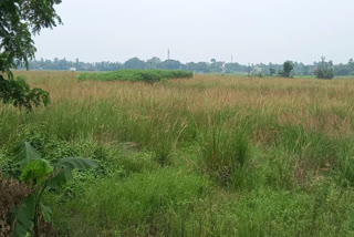 Land Movement in Singur