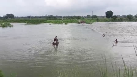 Parvati River Swells Again After Water Release from Angai Parvati Dam