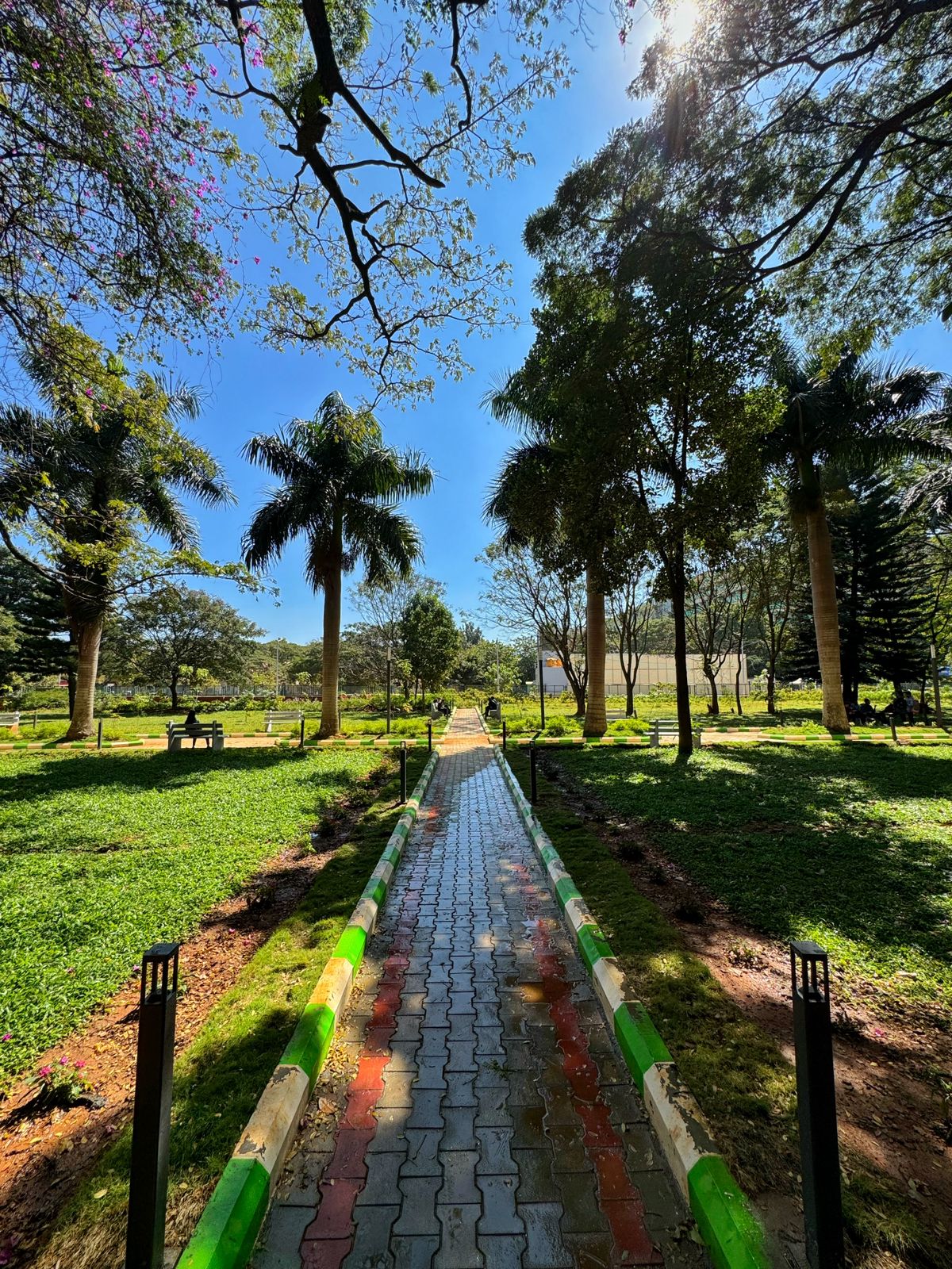 ಬೆಂಗಳೂರು ನಗರ ವಿಶ್ವವಿದ್ಯಾಲಯ  ಉದ್ಯಾನವನ