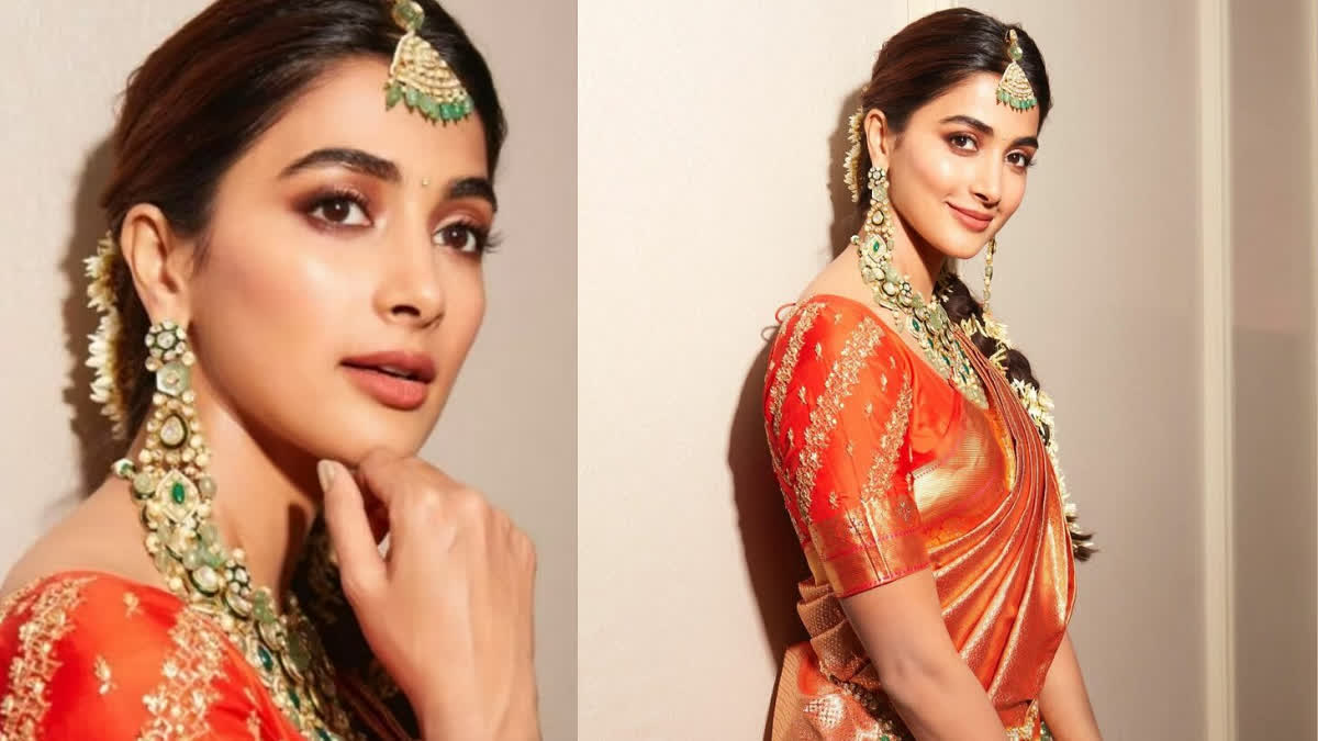 Pooja Hegde Wedding