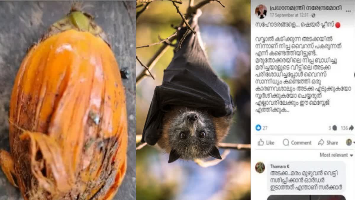 nipa new  നിപ വൈറസ്‌  Nipah virus without source  ഉറവിടം കണ്ടെത്താനാകാതെ നിപ വൈറസ്‌  നിപ ആശങ്കയായി തുടരും  Nipah will remain a concern  source of the virus has not been identified  നിപ ഭീതി  Nipah fear  Institute of High Security Animal Diseases