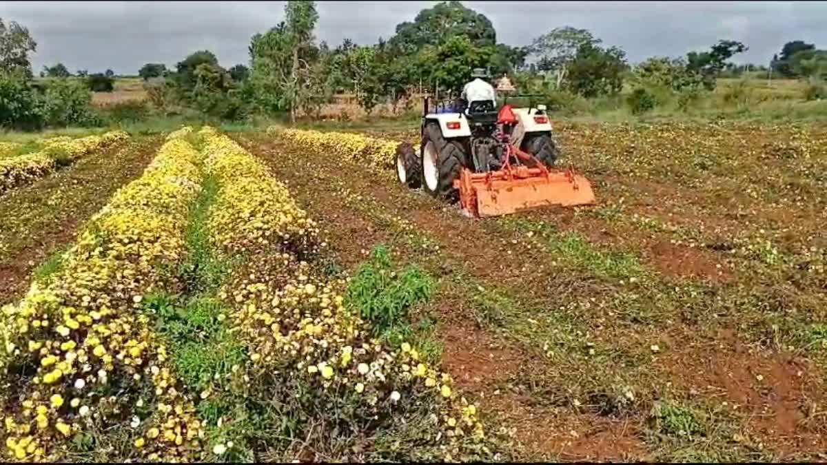 ಅರಕಲಗೂಡು ತಾಲೂಕಿನ ದುಮ್ಮಿ ಗ್ರಾಮ