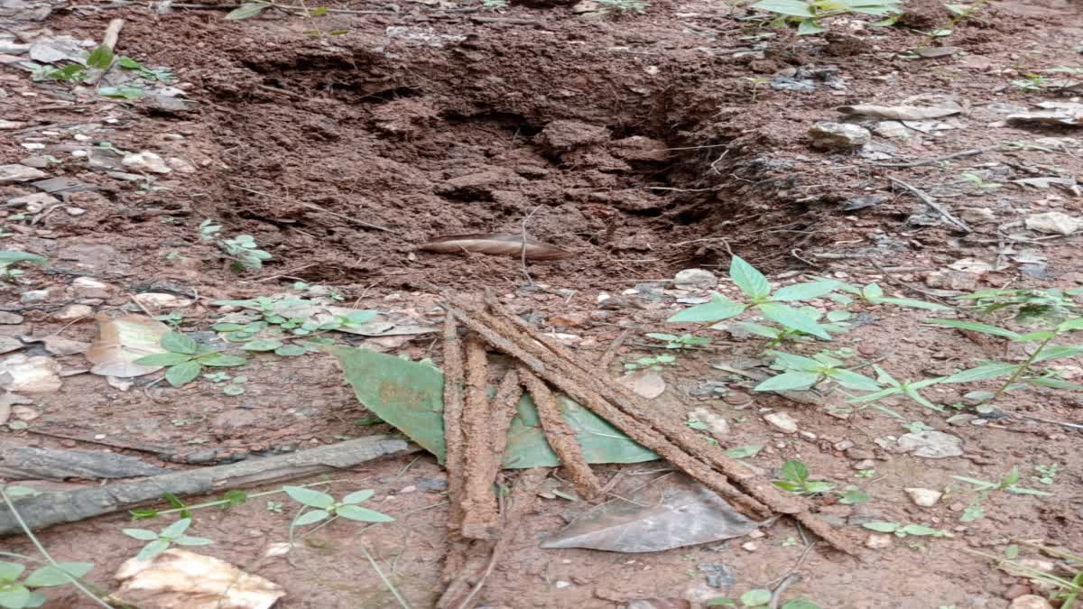 http://10.10.50.75//jharkhand/26-September-2023/jh-wes-01-naxal-ied-recoverd-images-jh10021_26092023210533_2609f_1695742533_992.jpg