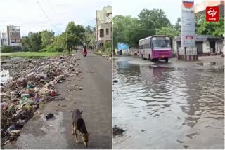 பொழிச்சலூர் பகுதியில் சுகாதாரக் சீர்கேடு